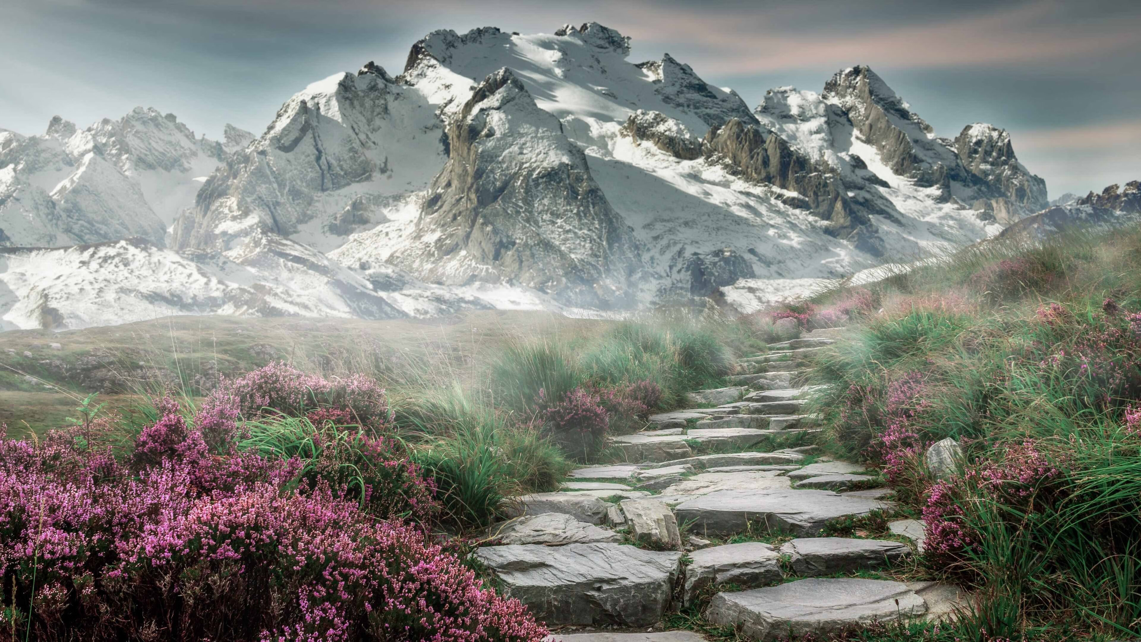 乐鱼体育下载app官网-美国队赛制评析：如何利用赛制的灵活性增强整体优势，美国队赛事