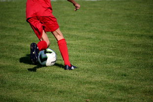 乐鱼体育app入口-青训球员选拔机制存在结构性偏见，青训选拔喜欢那种球员