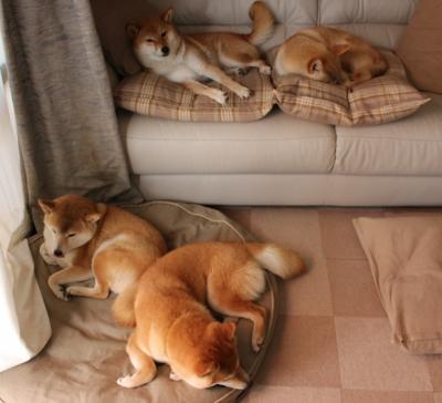 乐鱼体育入口-巴黎圣日耳曼在法甲继续领跑，稳居榜首