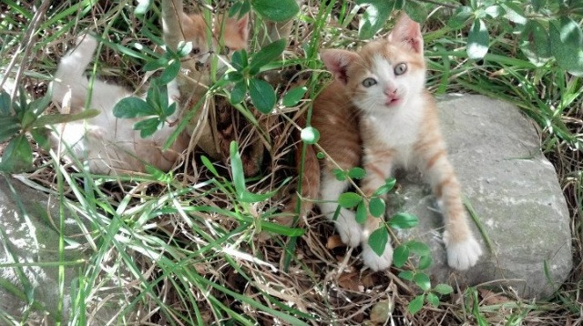 乐鱼体育入口-新闻中心报道：中国冬奥场馆维护工作全面完工，冬奥会场馆建设进展