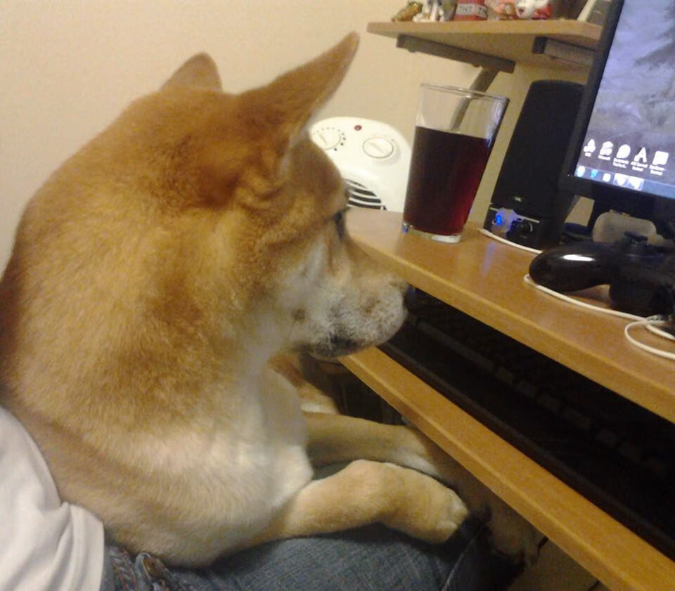 乐鱼app-李恩：凭借出色的跑位和传球能力，成为全黑队进攻的关键，李恩个人简介